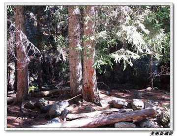 天山天池--美丽新疆游,图十五