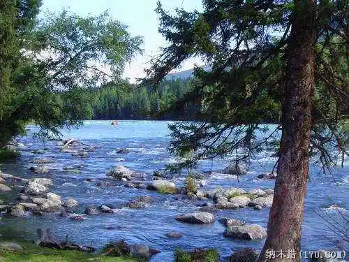 喀纳斯东线马帮探奇游(四)