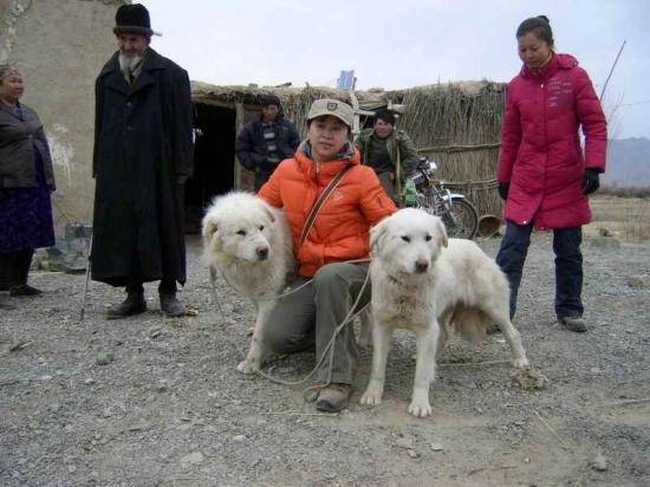 重走丝绸古道－－－兴地、营盘游记,图二