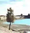 苍茫西北，我再难以忘情的地方！（六）