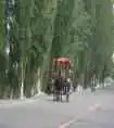伊宁游