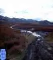新疆圆舞曲7