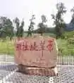 到青葱草原策马扬鞭