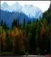 绿色伊犁的避暑胜地-厍尔德宁