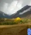 新疆圆舞曲4