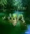 绝色新疆，色彩流淌的天堂