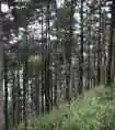 爱上行走的感觉——冰晶顶－桦林湾穿越记行