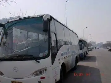 37座金龙