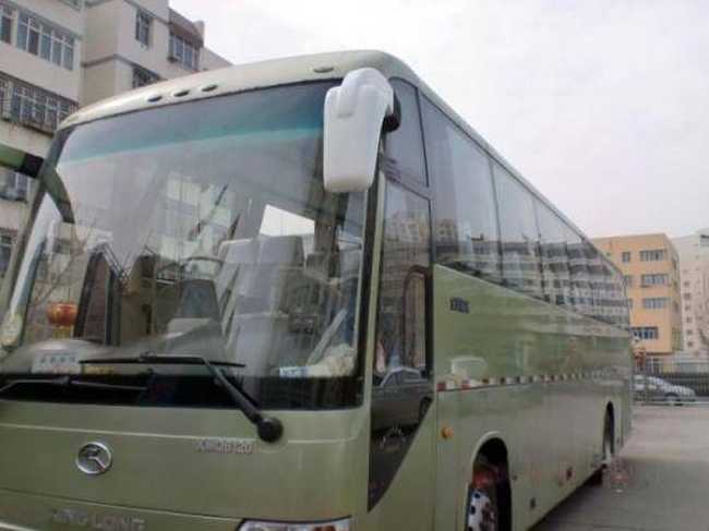 55f4cc81999f6f115758205c7ea46fdc.jpg 55座金龍,圖三