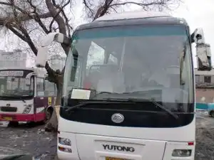 55座金龙
