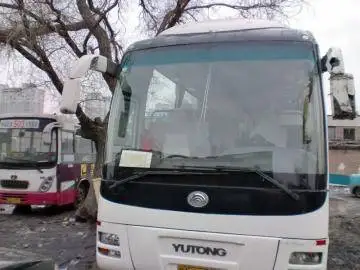 55座金龙