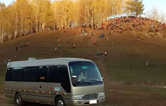19座金色江铃