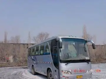 39座金龙