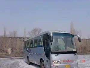 39座金龙