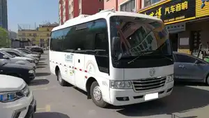 19座白色东风风尚