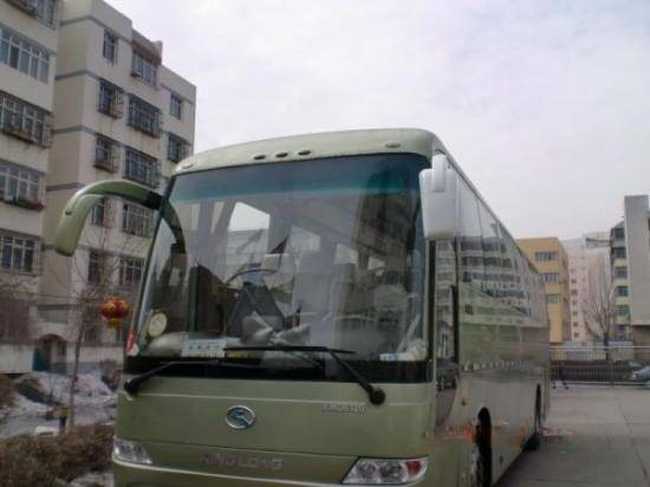 c6931a9ec07085f572e56ba977567120.jpg 55座金龍,圖四