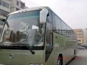 55座金龙