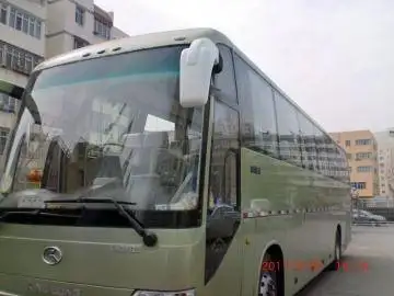 55座金龙