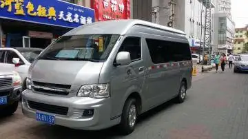 9座金杯海狮
