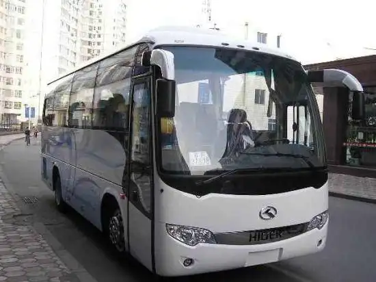 33座金龙
