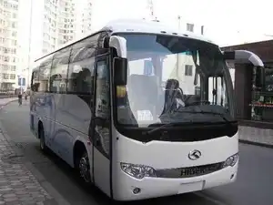 33座金龙