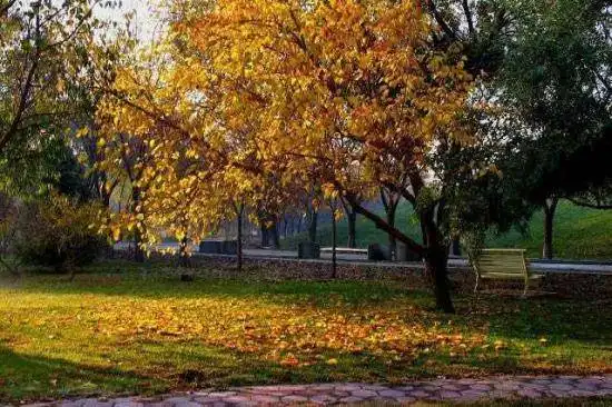 秋季宁静五彩的植物园