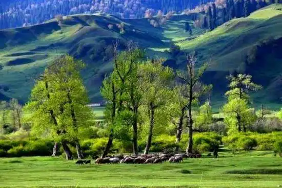 空中花园那拉提