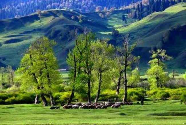 空中花园那拉提,图一