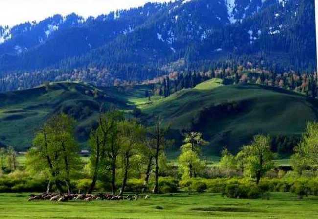 空中花园那拉提,图二