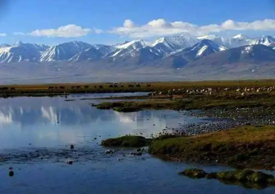 巴音布鲁克草原最美的湖沼地