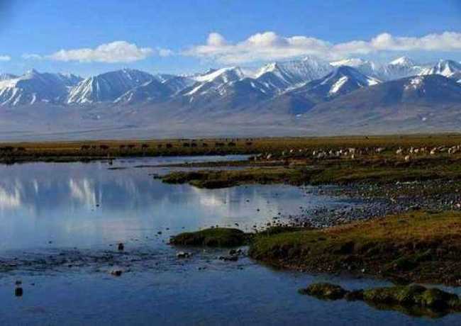 巴音布鲁克草原最美的湖沼地,图八