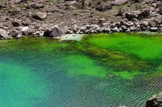 碧水涟漪——库车小龙池