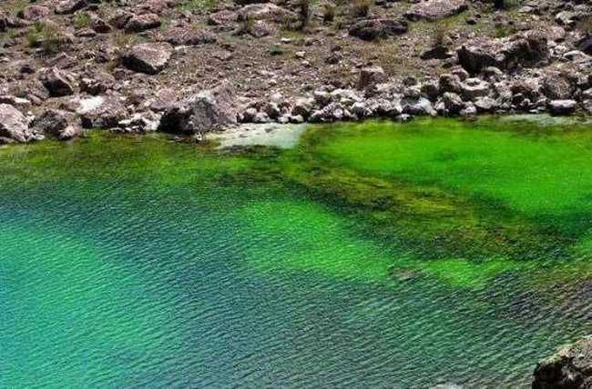 碧水涟漪——库车小龙池,图五