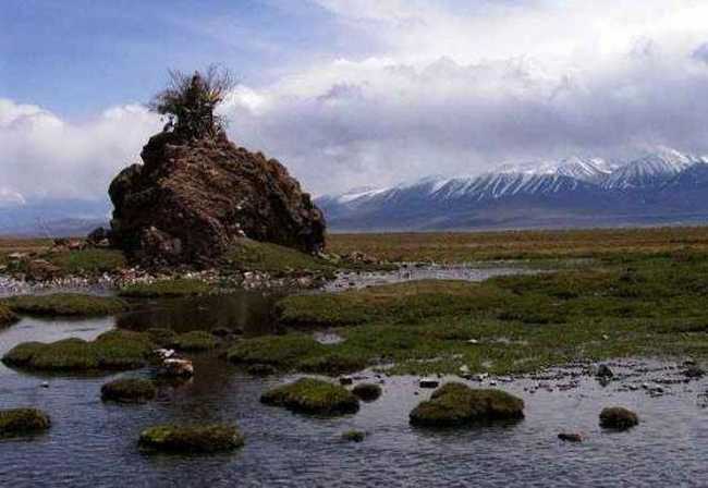 巴音布鲁克草原最美的湖沼地,图十三