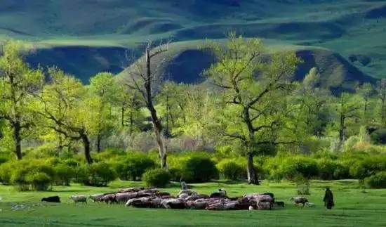 空中花园那拉提