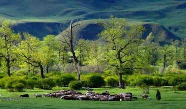 空中花园那拉提,图四