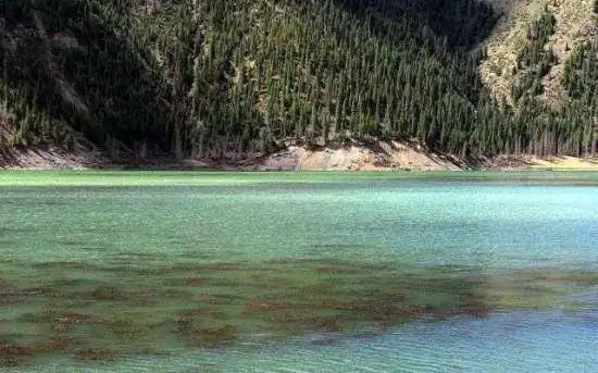 神秘幽静—库车大龙池