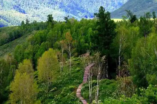 神的后花园-春到禾木村（1）