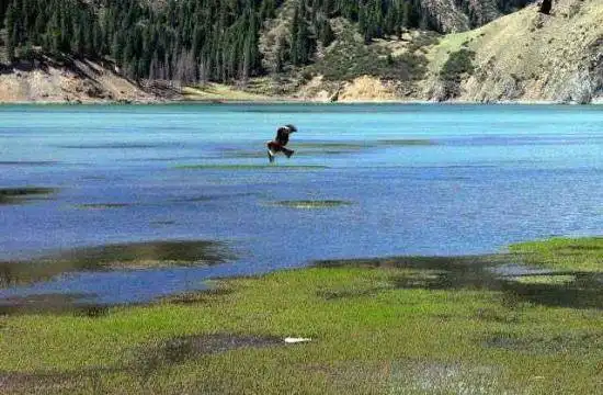 神秘幽静—库车大龙池
