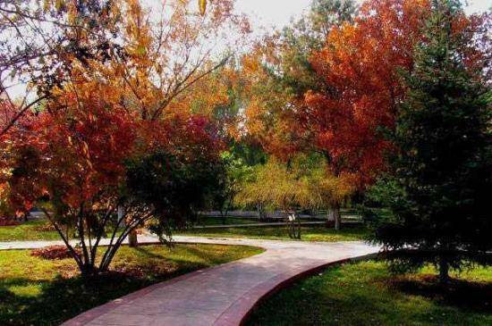 秋季宁静五彩的植物园,图十二