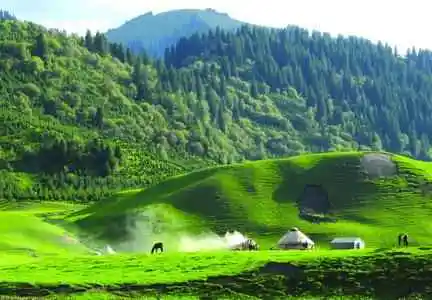 梦回唐布拉草原