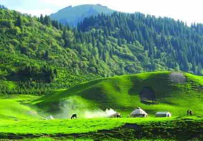 梦回唐布拉草原