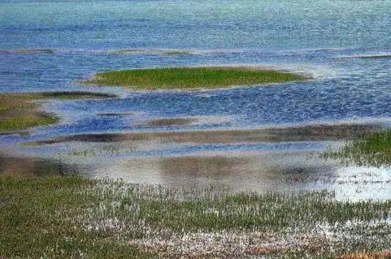 神秘幽静—库车大龙池