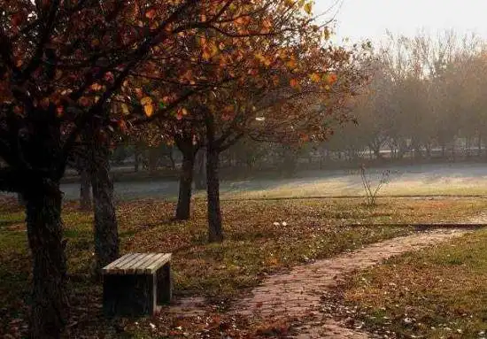 秋季宁静五彩的植物园