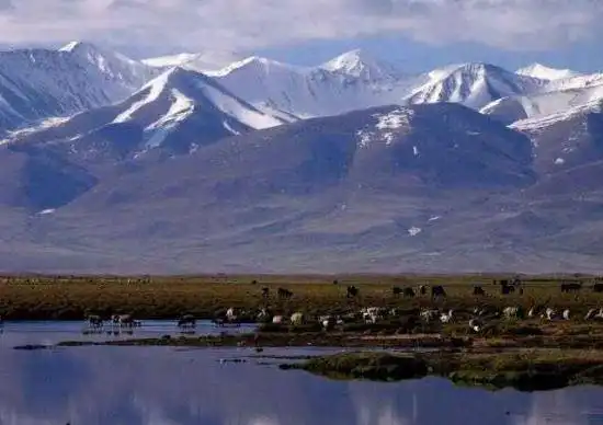 巴音布鲁克草原最美的湖沼地