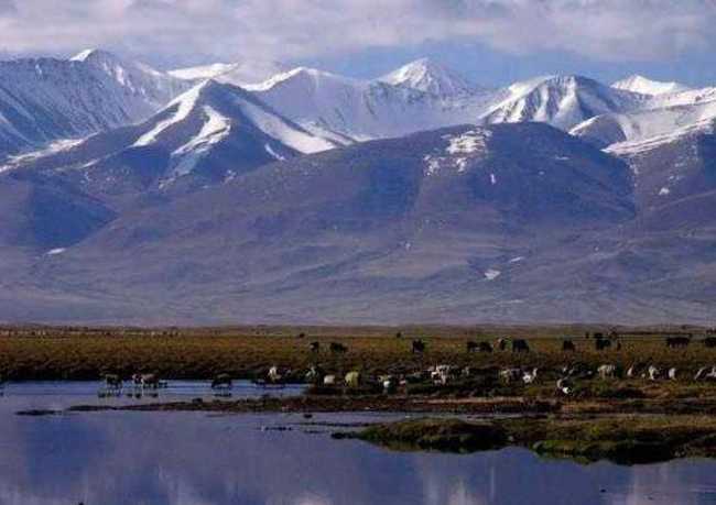 巴音布鲁克草原最美的湖沼地,图十