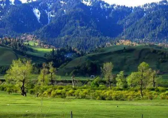 空中花园那拉提