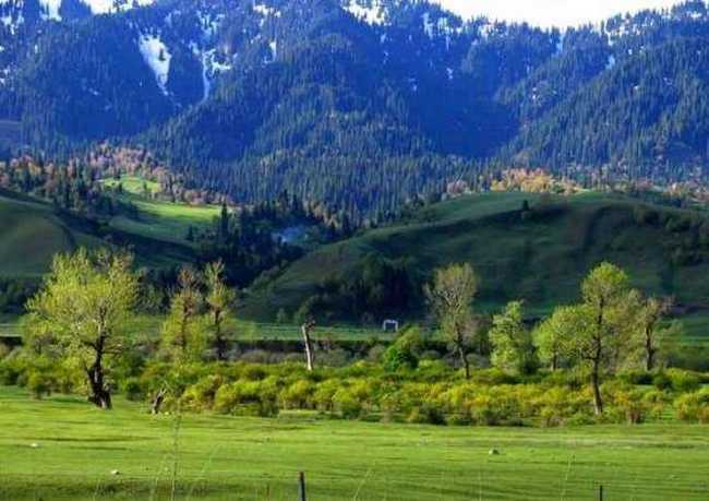 空中花园那拉提,图三