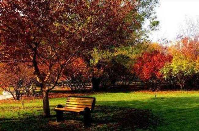 秋季宁静五彩的植物园,图九
