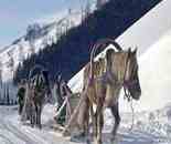 禾木喀納斯冬季風(fēng)光